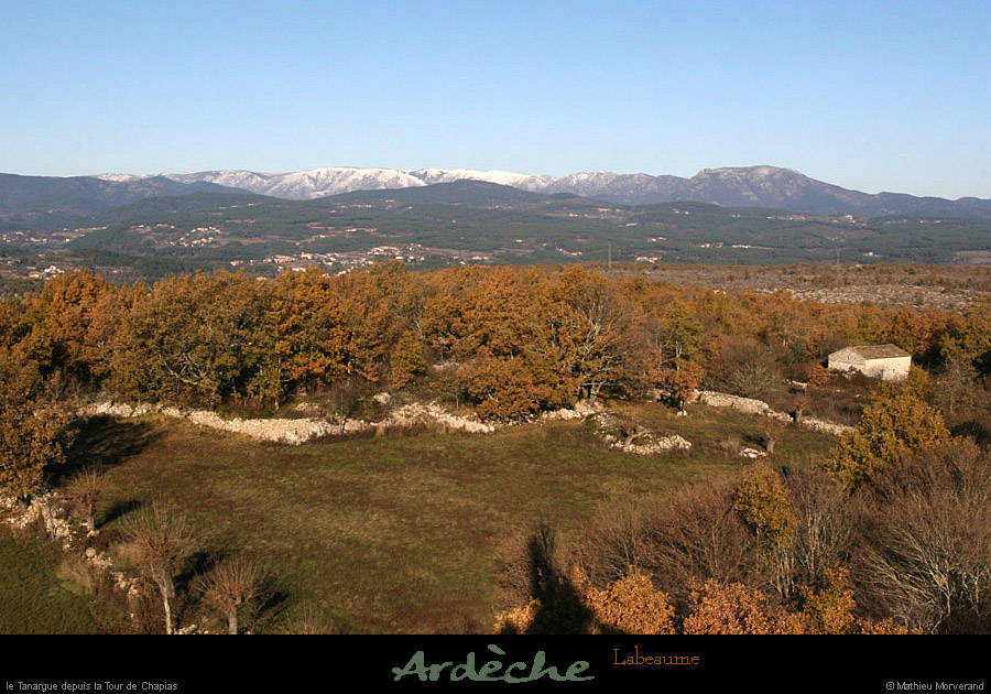 20101204_tanarguedetourchapias1