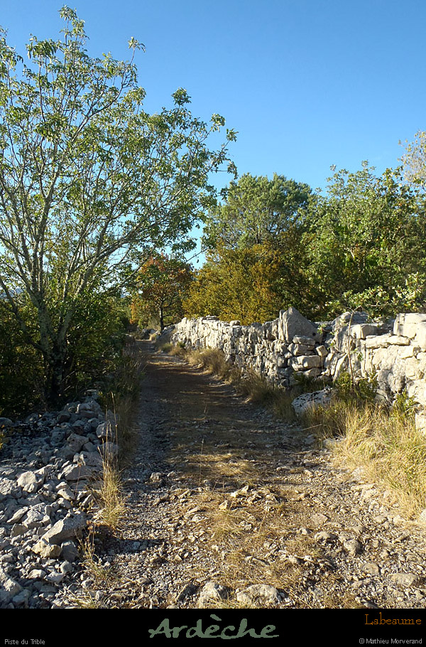 20120826_labeaume_pistedutrible