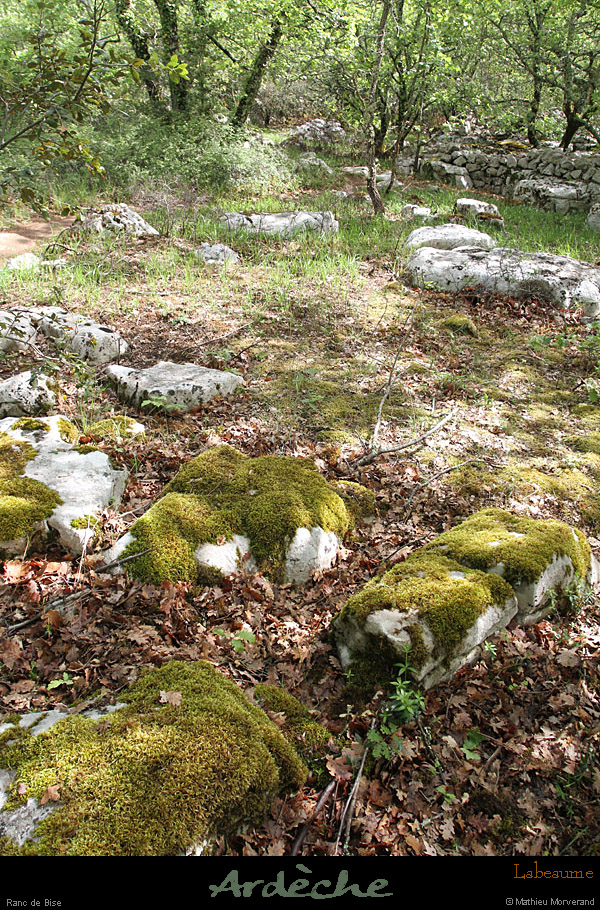 20120429_labeaume_rancdebise2