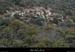 20130127_labeaume_combedevignevieille_moutons