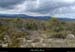 20130409_labeaume_grasdevignevieille1