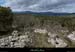 20130409_labeaume_grasdevignevieille2