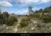 20130409_labeaume_grasdevignevieille3