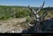 20130510_labeaume_gorgeslignedepuisbelvvignevieille2
