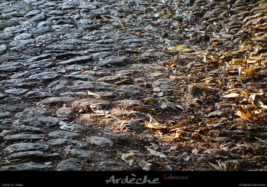 20210912_calade4