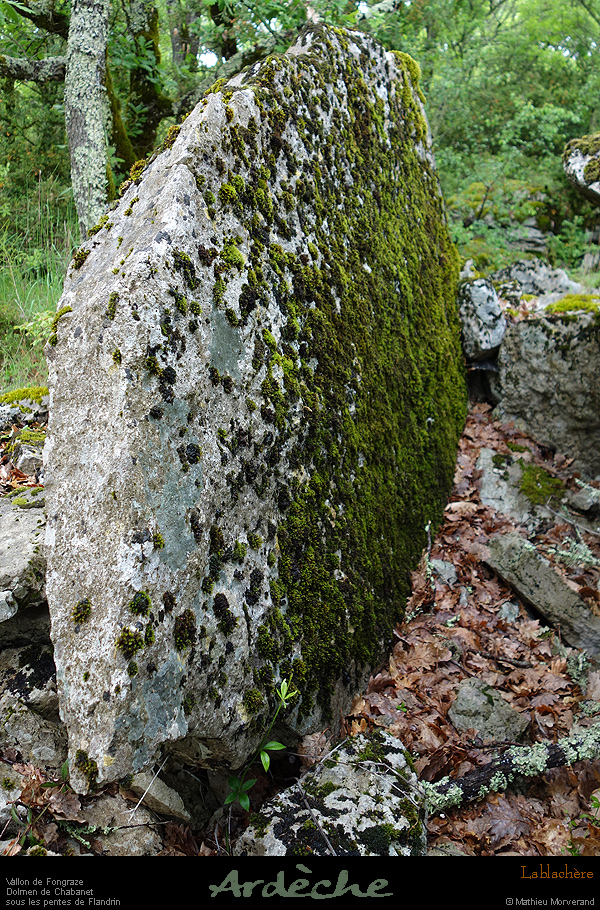 20170506_dolmenchabanet11