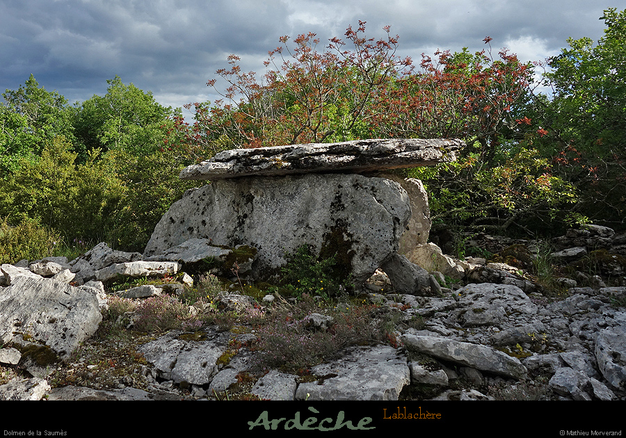 20170506_dolmensaumes02