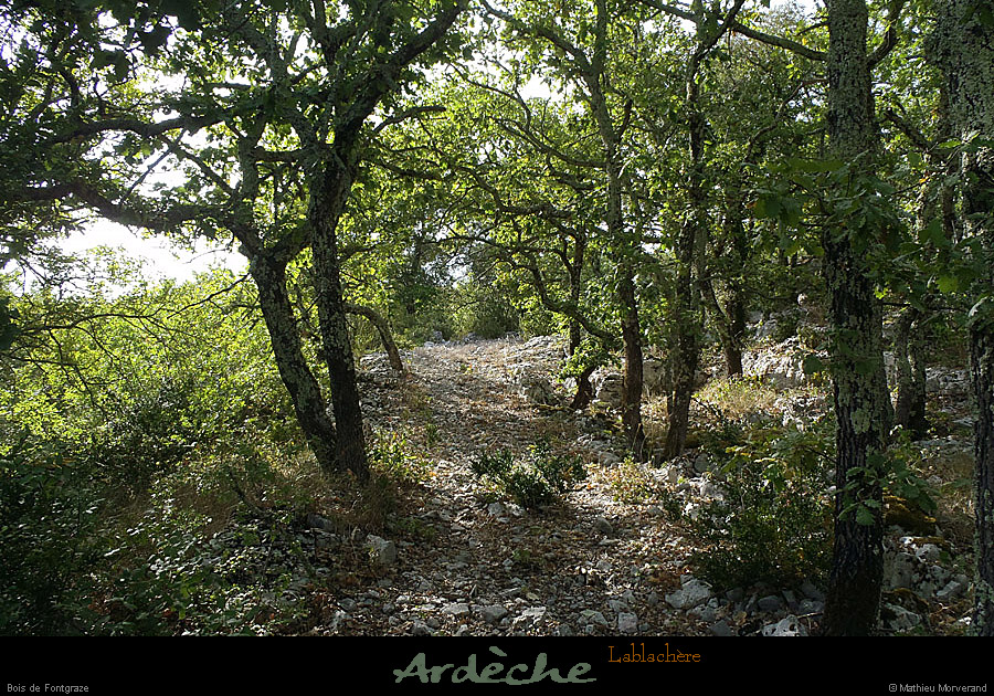 20120820_lablachere_boisdefontgraze1