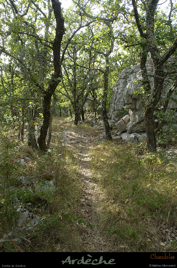 20120820_lablachere_boisdefontgraze3