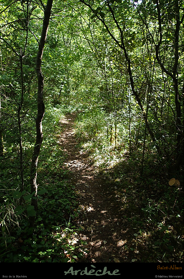 20150525_lablachere_boisdurancduboeuf2