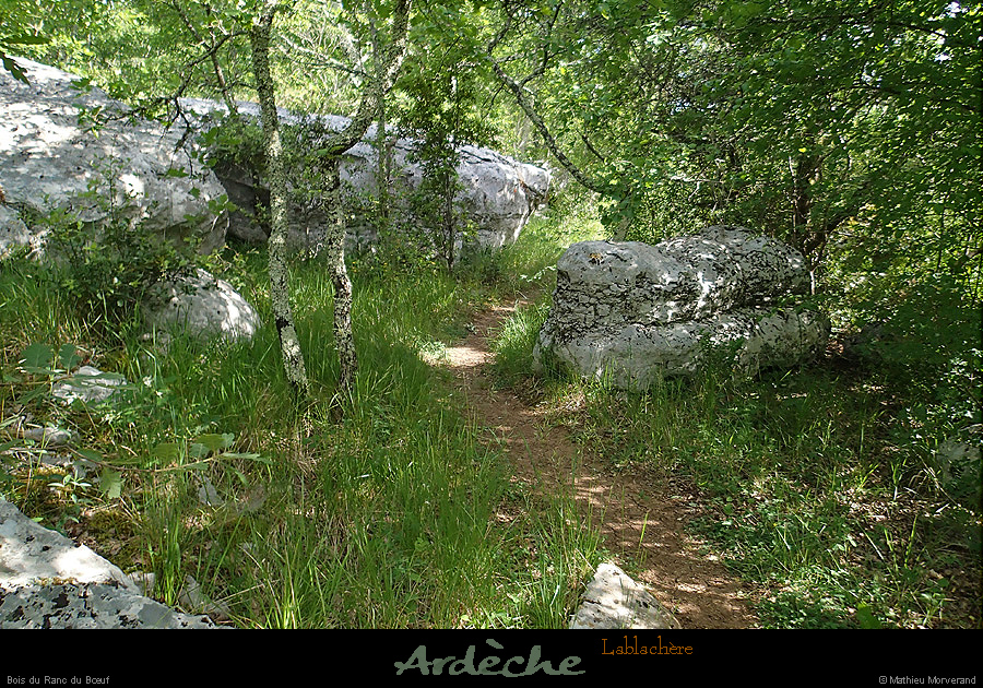 20150525_lablachere_boisdurancduboeuf3