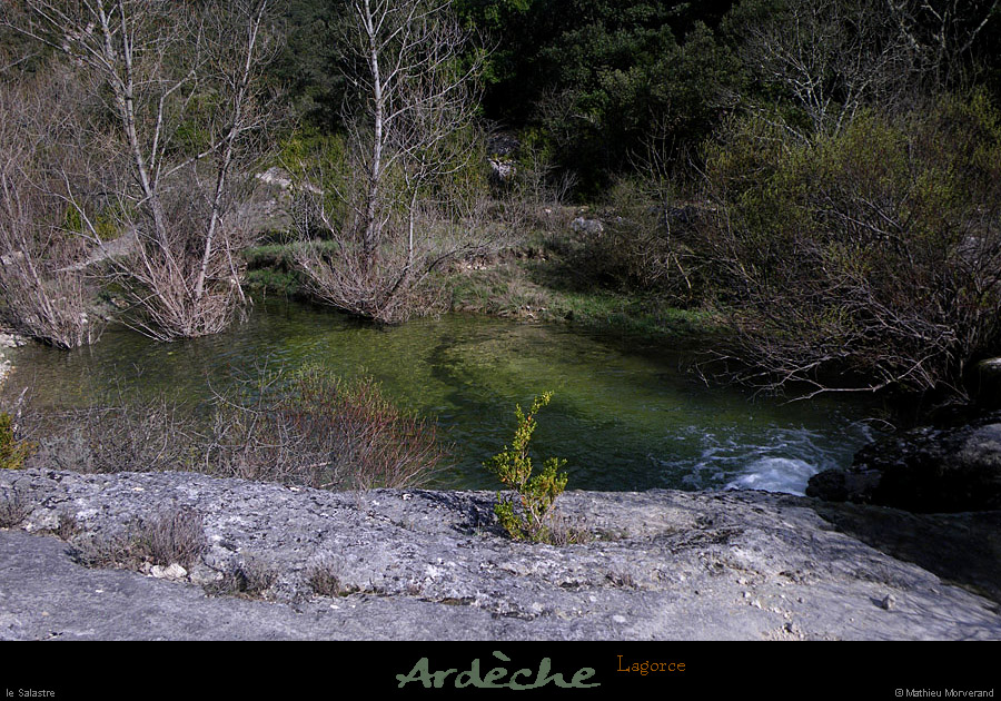 20110319_lagorce_salastre2