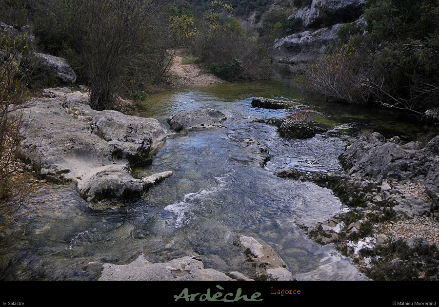 20110319_lagorce_salastre3