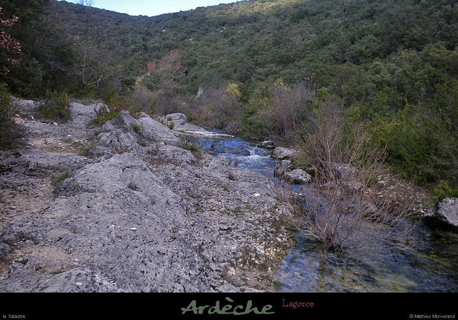 20110319_lagorce_salastre4