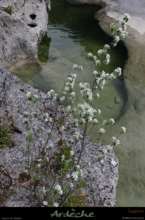 20120418_lagorce_canyonsalastre_21