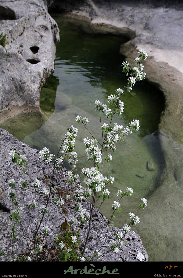 20120418_lagorce_canyonsalastre_22