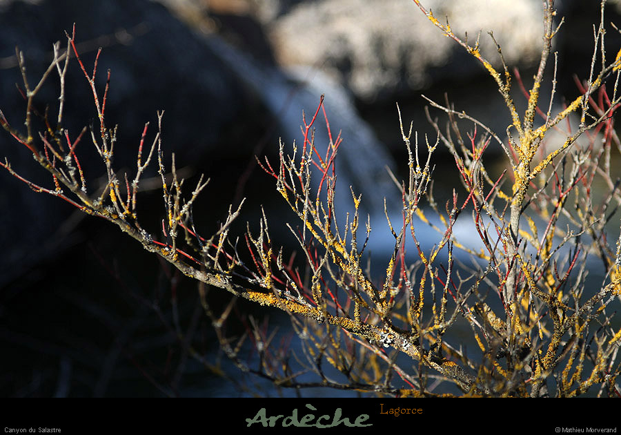 20130217_lagorce_canyonsalastre13