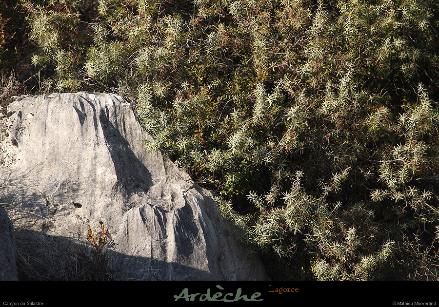 20130217_lagorce_canyonsalastre_cade