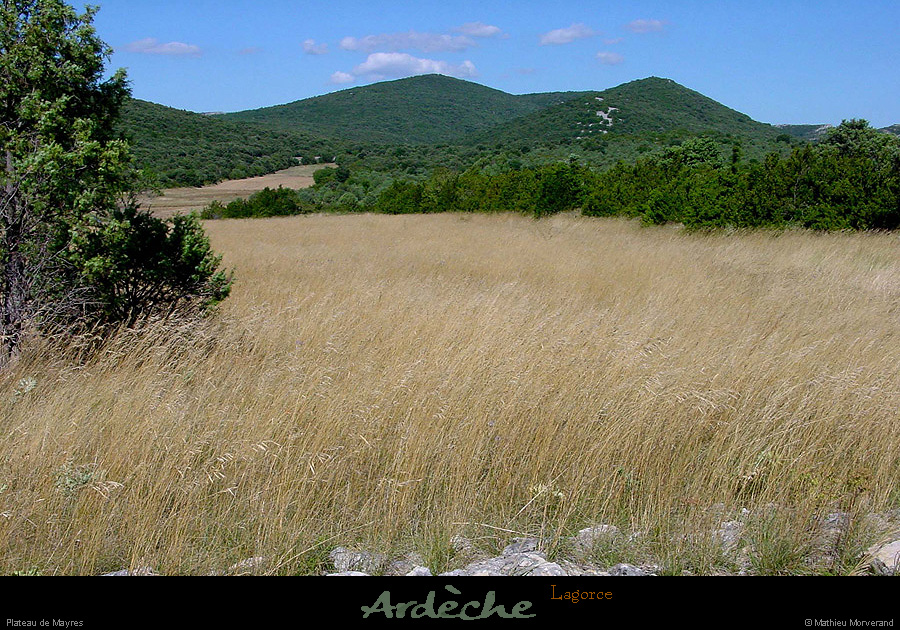 20010810_mayres_champhtesherbes_1