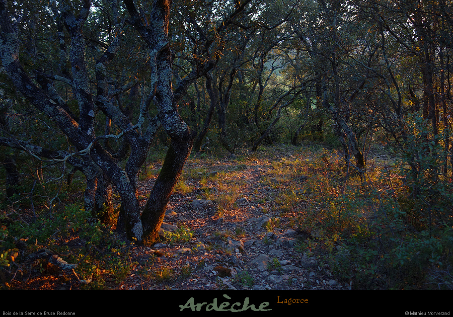 20170421_boisdebruzeredone