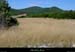 20010810_mayres_champhtesherbes_1