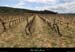 20120418_lagorce_vigier_champservit2