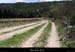 20120418_lagorce_vigier_champservit3