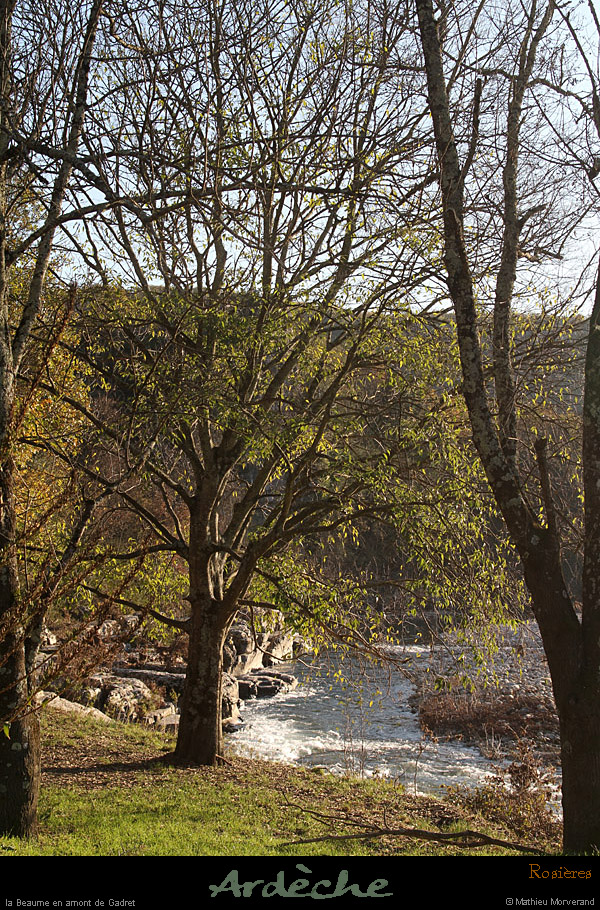 20111127_beaume_rosieres_avlunel2