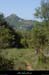 20180424_ruoms_baissechabaud