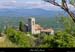 20000711_presbyteredesampzon