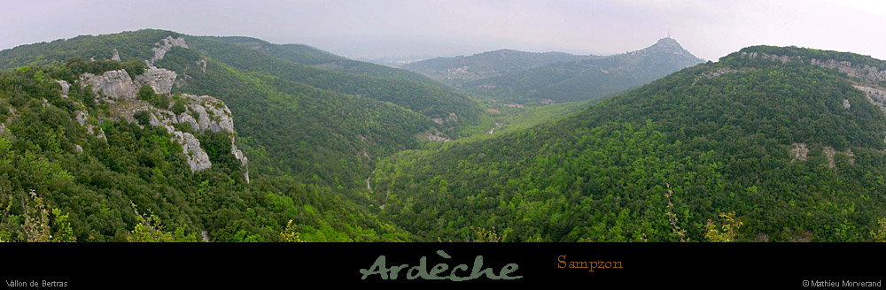 20010429_boisdesampzondesiteaiguillecornichee_1