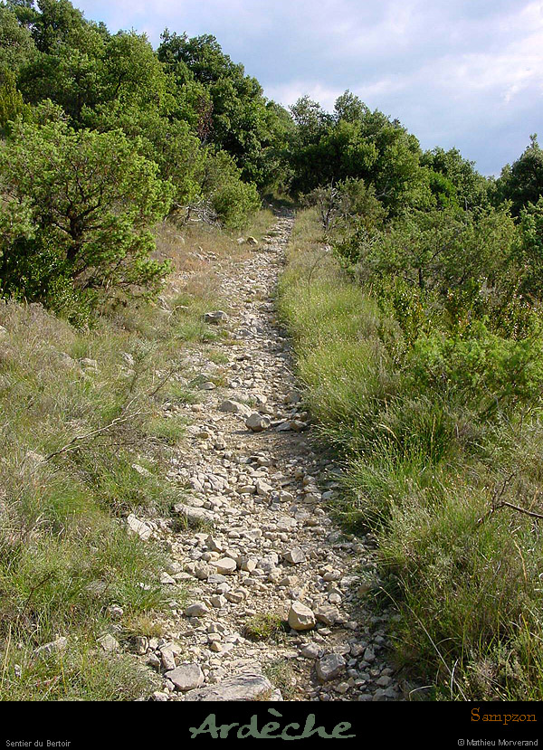20000715_sampzon_chemindebertoir