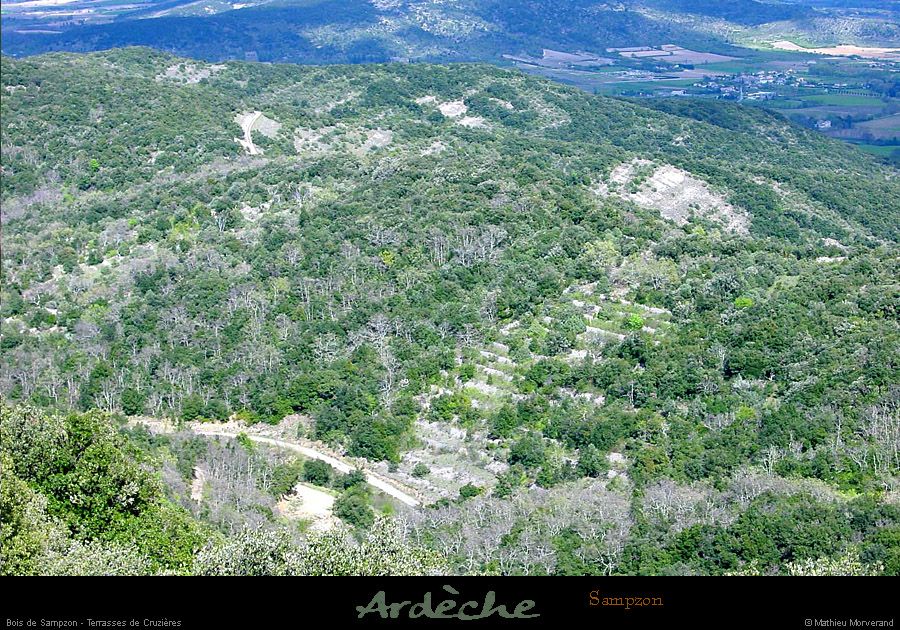20010408_boisdesampzon_anciensetagesdeculture