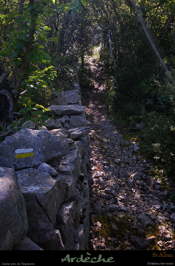20100523_stalban_sentierpreslespeluche