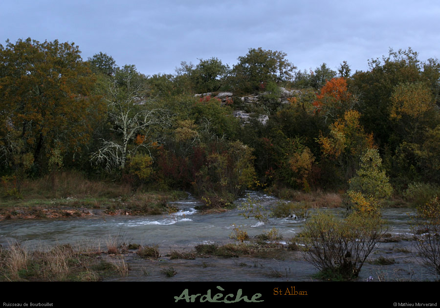 20101031_stalban_ruisseaudebourbouillet6