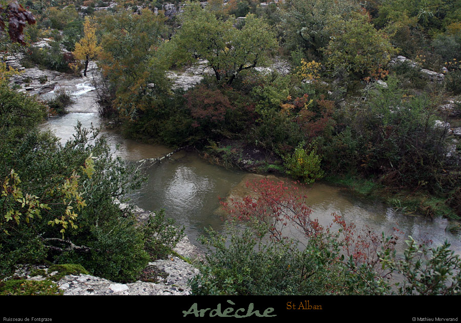 20101031_stalban_ruisseaudefontgraze3