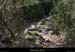 20090322_stalbanchantressacsentier1