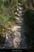 20090322_stalbanchantressacsentier2