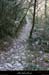 20090322_stalbanchantressacsentier3