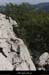 20121007_stalban_boisdeventalon_chaos07