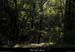 20121007_stalban_boisdeventalon_presgardret