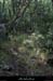 20121007_stalban_boisdeventalon_sentier