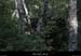 20121007_stalban_boisdeventalon_vestigesbourlatiers