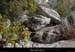 20161113_boisremejadou6