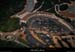 20150525_vallonrazal_ergc