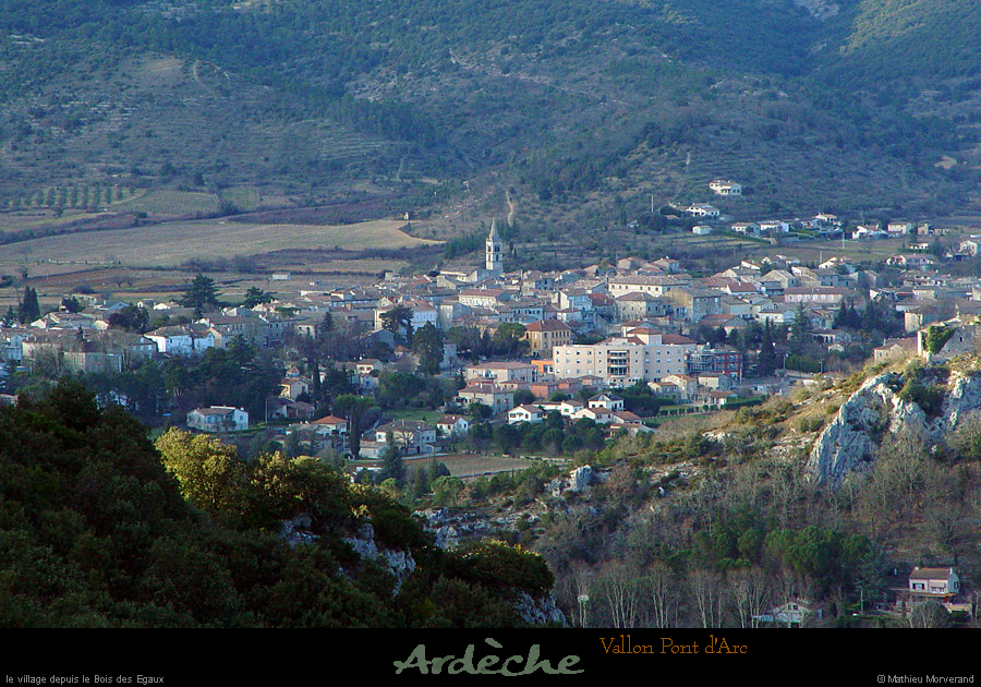 20030302_vallonduboisdesegaux_3