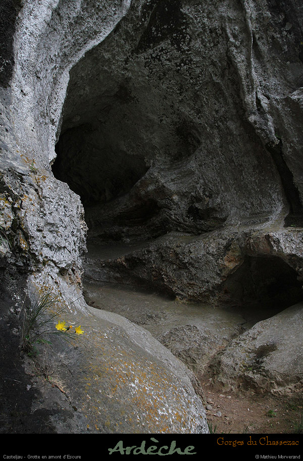 20130508_grottewescurebaume2