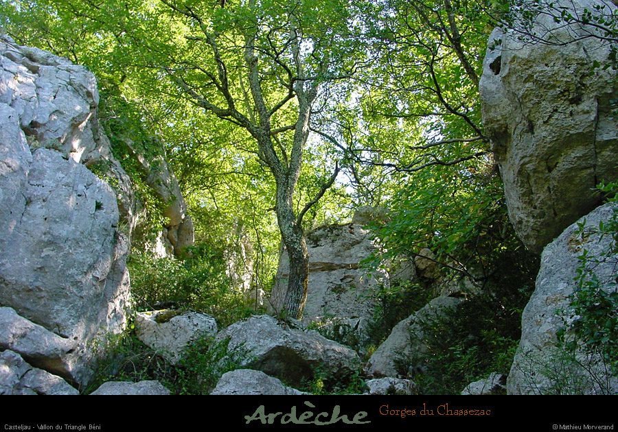 20010813_casteljau_boisprestrianglebeni_1