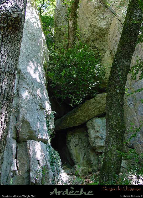20010813_casteljau_boisprestrianglebeni_6
