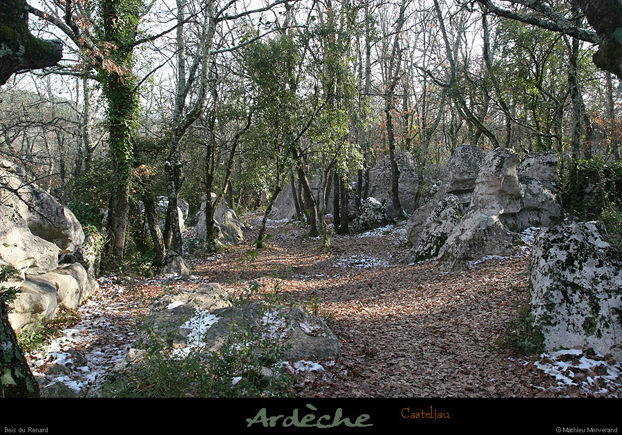 20100110_gorgescasteljau_secteurrenard_3